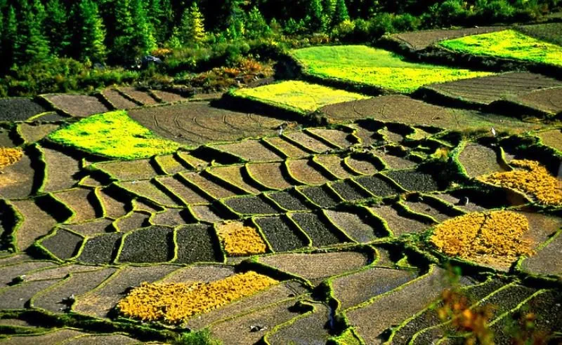 Drukgyel_Dzong_Paro