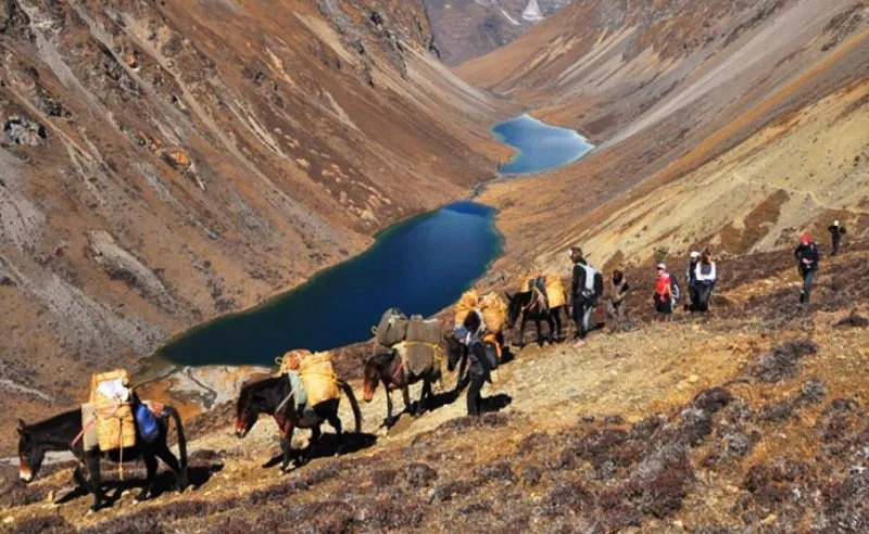 Jomolhari_trek