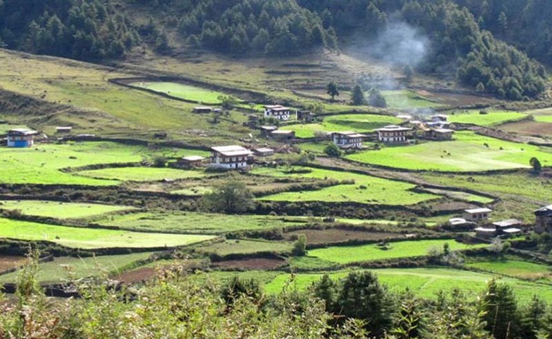 Gangtey Valley Trek